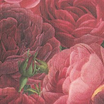 Red Cabbage Roses Italian Paper ~ Tassotti